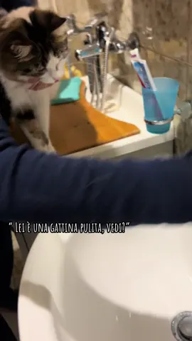 “ Lei è una gattina pulita, vedi?” 🐈👵🏼.                        #gatta #nonna 