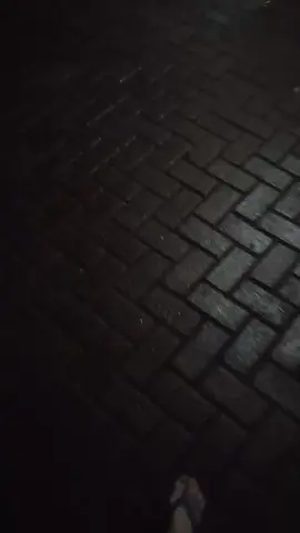 #fypシ゚ #fyppppppppppppppppppppppp #trenggalek24jam #