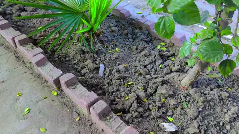 میلسی سرکاری ہسپتال 🥹🙌#malsikijan #unfreezemyacount #fyp #malsikijan #tiktokviral 