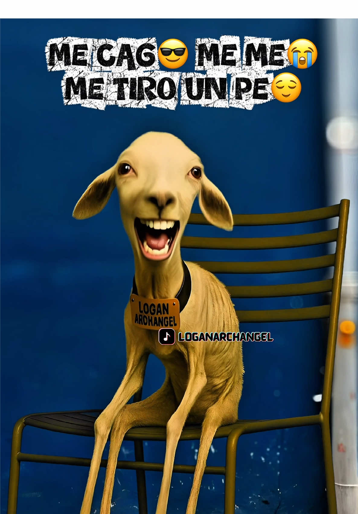 Respuesta a @Willy Nuñez jajaja va ser mejor que decirles que escuchabas a muchos de los artistas de hoy en día, con esta canción que solo tira factos! Todos lo c4g4m0s es parte de nuestras vidas no entiendo porque se alarman al escuchar una canción tan boba y a la vez tan real pero bueno la tercera versión con la llama mafrensito! Esta versión flaquita que a algunos les causa inquietud jajaja #llama #llamas #mafrensito #humorlatino #humortiktok 