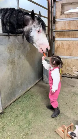 She is really concerned about Tino’s broken bucket and wants us to go to @TractorSupply to get a new one #fyp #barnlifeisthebestlife #horses #horsetok #viral also those @carhartt overalls are still my favorite! 