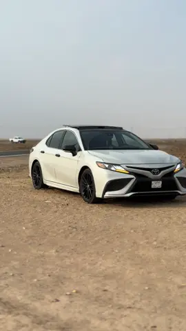 #الكامري #العلم #الرملة #صحراء_العيث #صلاح_الدين 