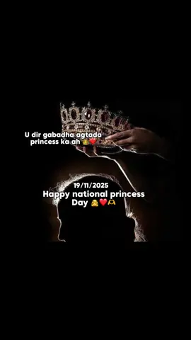 Happy princess day ❤️ #fyp #viral #viral_videos #viewsproblem😭 #Bile💐 