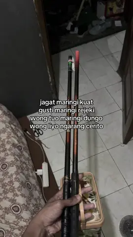 tutup mata tutup telinga saja😘#mancing #rilisanlele #rilislelemalang #pemancinggayabebas #fyp 