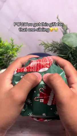 The perfect gift for them this holiday😂#christmas #jokes #raigebait #Siblings #funnygifts 