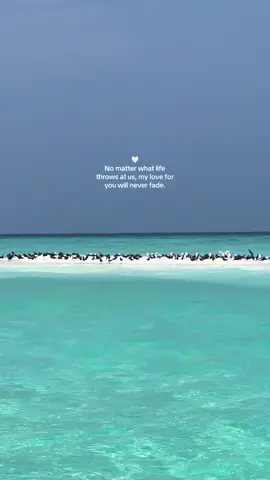 No matter what life throws at us, my love for you will never fade.