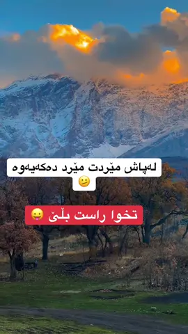 #creatorsearchinsights #fouryou 