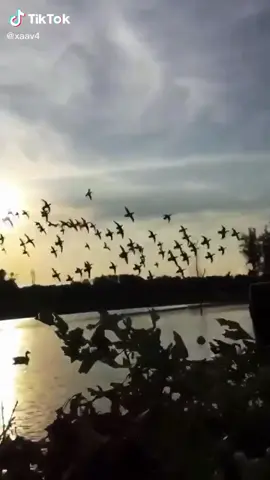 #الشعب_الصيني_ماله_حل😂😂 #الشعب_الصيني_ماله_حل😂😂 