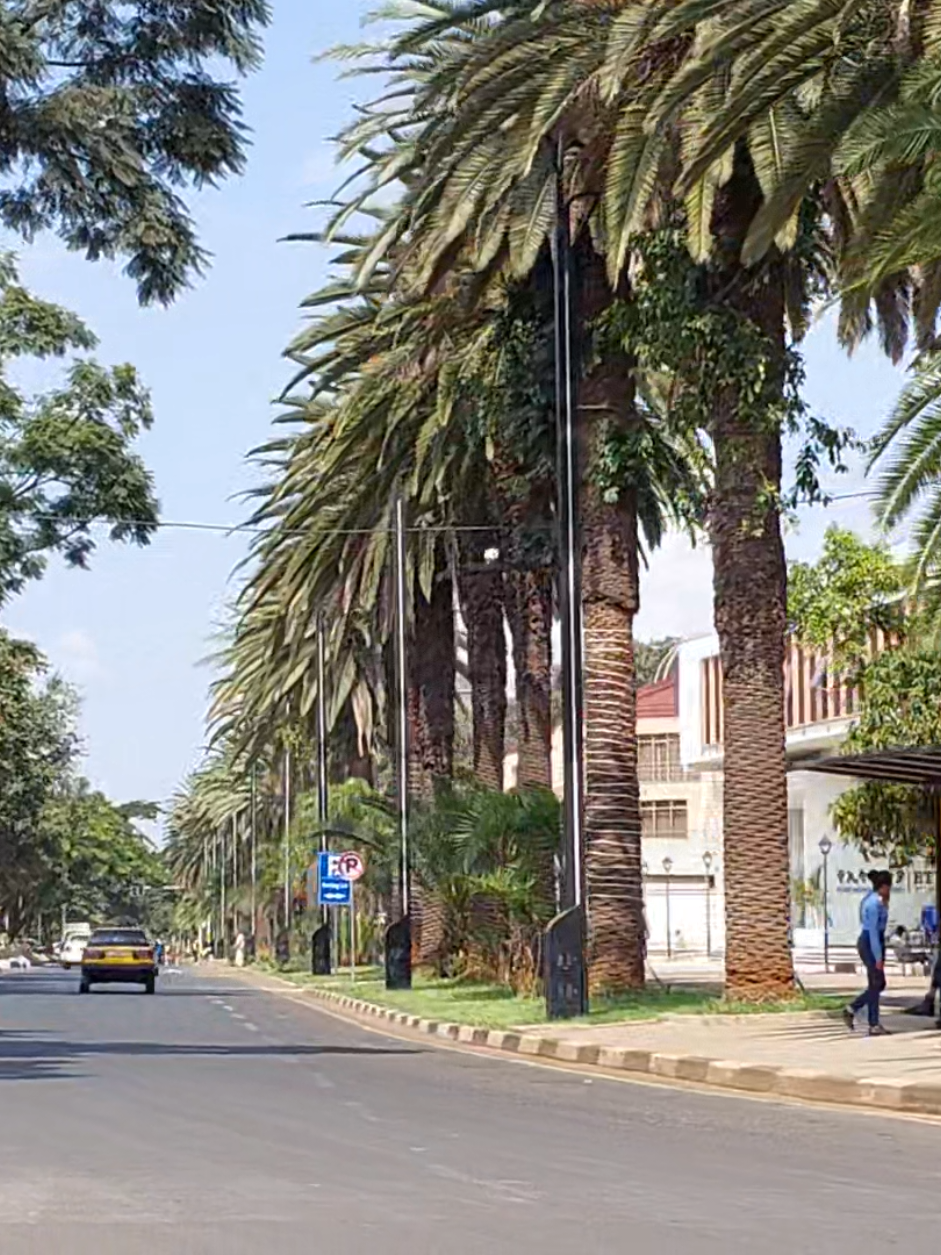 @Hella Coffee 🌴 ሄላ ቡና 