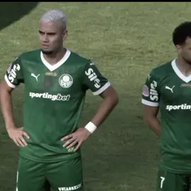 tá perto #flamemgo #palmeiras #fyp #fouryoupage #viraliza 