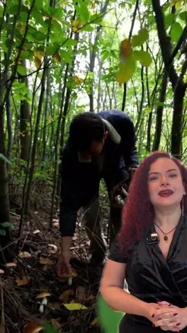 Uzmanlardan mantar zehirlenmesi uyarısı: “Emin değilseniz kesinlikle tüketmeyin” Manisa Şehir Hastanesi Başhekim Yardımcısı ve Aile Hekimliği Uzmanı Uzm. Dr. Ezgi Tanımlı, havaların soğumasıyla birlikte artan mantar tüketimine dikkat çekerek doğal mantarların görünüş, koku veya tat üzerinden ayırt edilmesinin mümkün olmadığını söyledi. Tanımlı, yaptığı bilgilendirmede doğada bulunan hiçbir mantarın “kesin güvenli” kabul edilemeyeceğini, pişirme yöntemlerinin de zehri ortadan kaldırmadığını vurguladı. Güvenli tek seçeneğin Tarım ve Orman Bakanlığı tarafından denetlenen kültür mantarları olduğunu kaydetti. Mantar zehirlenmelerinin sıradan bir gıda zehirlenmesi olmadığına dikkat çeken Tanımlı, bazı türlerde belirtilerin geç ortaya çıkabileceğini belirterek, “Kişinin kendini iyi hissetmesi güvende olduğu anlamına gelmez. Zehirlenme saatler içinde karaciğer ve böbrek yetmezliğine ilerleyebilir.” ifadelerini kullandı. Zehirlenme şüphesi bulunan kişilere yapılması gerekenleri de sıralayan Tanımlı, şu uyarılarda bulundu: — “Hemen 112’yi arayın ve en yakın acil servise başvurun. — Eğer varsa tüketilen mantarın kalan kısmını yanınıza alın. — Kusmayı tetiklemeyin. — Evde uygulanan hiçbir yöntem mantarın zehrini etkisiz hâle getirmez.” Uzm. Dr. Ezgi Tanımlı, vatandaşlara, “Emin değilseniz yemeyin, belirti varsa beklemeyin. Doğru adım, zamanında yapılan başvurudur.” çağrısında bulundu.