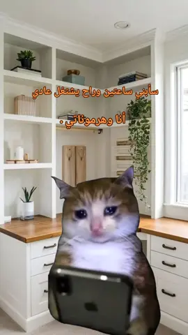 #ليك______🖤___متابعه____اكسبلووور #الشعب_الصيني_ماله_حل😂😂 