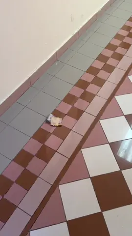 #edit #explore #fyp #f #e 