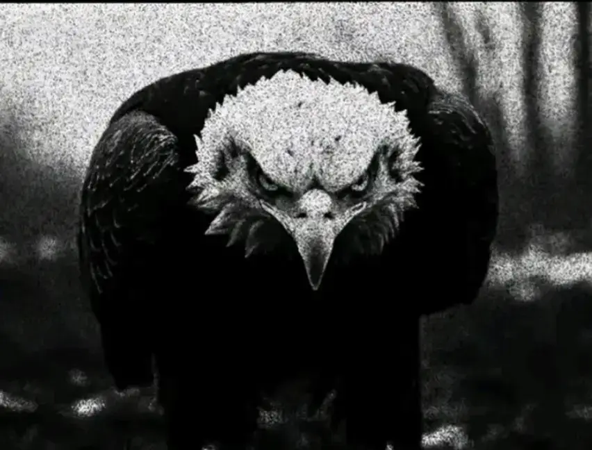 🥷🏻##مراد__علمدار_وادي_الذئاب #الشعب_الصيني_ماله_حل😂😂 #pp 