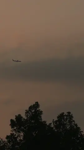 عصافير الحنين التي تنقر فتات نوافذي ادخلوا في قلبي حقل سنابل#تصويري📸 #موسيقى #اكسبلورexplore #طرب #explore 