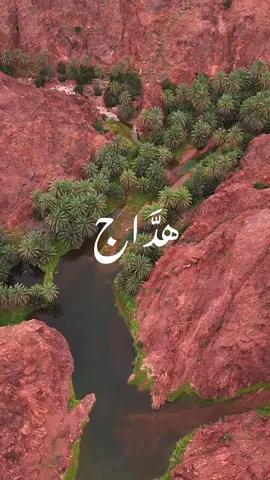 جبنا لكم هداج قطر بحايل ، بأذن الله شي يعجبكم وانشاء الله كم يوم ونكون جاهزين . #حايل #حايلندا 