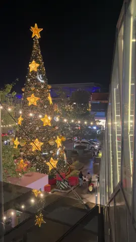 #puntosur#guadalajara#navidad