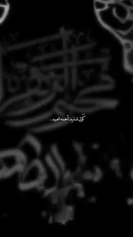 يوم الخدمتـك أول مولدي🤍.#سيد_فاقد_الموسوي #الهم_عجل_لوليك_الفرج #fyp 