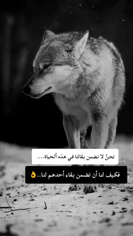 #fyp #F #f #شعب_الصيني_ماله_حل😂😂 #ابوني_ياك_باطل_ولا_حنا_مانستاهلوش 