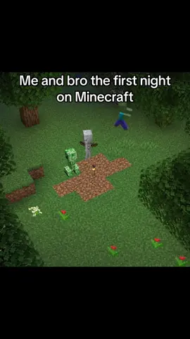 The night is scary. @Roswo  #Minecraft #scliffer #funny #skit #relatable