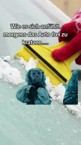 #Meme #MemeCut #CapCut #schnee#kalteng_palangkaraya 