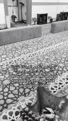 #الصلاة #الصلاه_هي_الحياه_حافظو_عليها🤍🌱 #الخيل_العربي_الاصيل #سبحان_الله_و_بحمده_سبحان_الله_العظم 