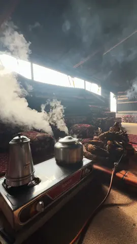 مطر وحطب أرطى وبيت شعر ( ايحاءات شتوية ) 🌧️        #امطار_حايل #حايل #حائل 