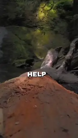 Your love remains the same -Written by Rachel Moses Christian music #gospelsong #christiantok #jesussong #christiansong 