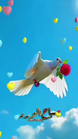 #مشاهير_تيك_توك #صباح #صباح_الخير 