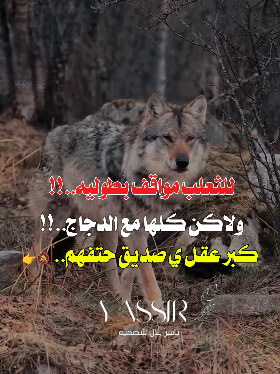 #فلسفة_الفقراء🎩 #مصمم_فيديوهات🎬🎵 #خواطر_سودانية🇸🇩💜 #جخو،الشغل،دا،يا،عالم،➕_❤_📝 #سودانيززز♥️_تيك_توك_♥️🎶🌸 