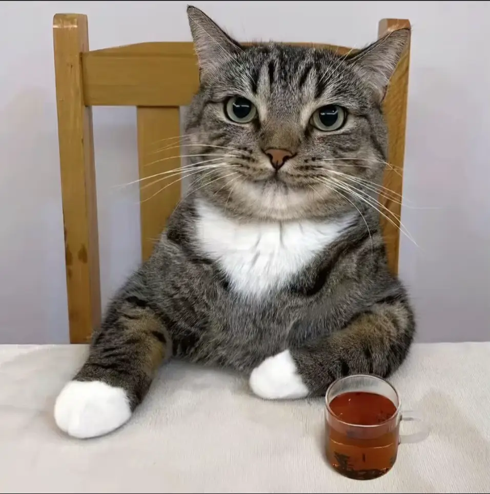 #fyp #nikepro #a #hot #animefyp 