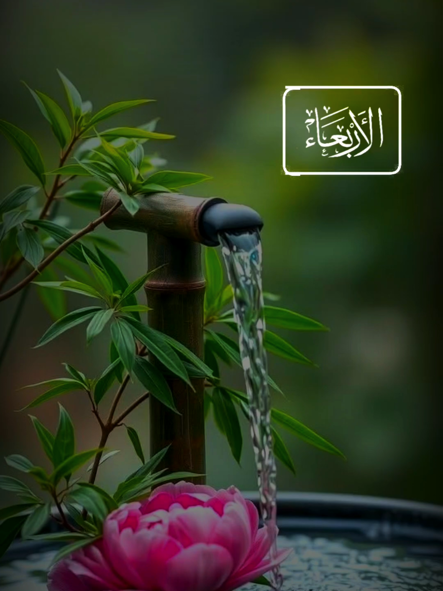 #تصميمي #foryou 