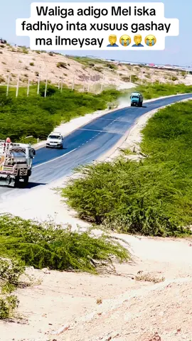 #hamse #@𝔹𝕚𝕊ℍ𝔸𝔸ℝ 𝕍𝕝𝕆𝔾𝕊 ☆📷 