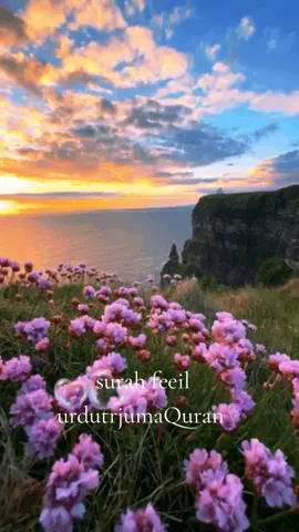 urdutrjumaQuran sura feeil#golive #goliveontiktok #creatorsearchinsights #capcutvelocity #foryou 