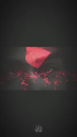 #حسين #اباعبدالله_الحسين_ع #مولاي #اللهم_عجل_لوليك_الفرج #fyp 