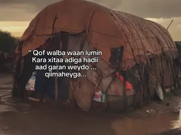 qof walba.. . . #fyp #foreyou #somalitiktok #lander 
