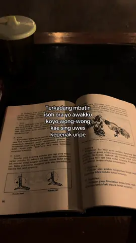 Ngalamun sitik ramasalah #semangatberjuang #ayamjago #ayamjagoindonesia #ayampama 