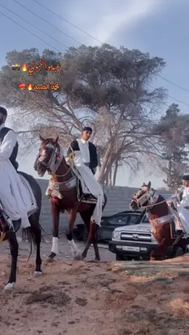 @﮼المصور ﮼عبدوالخبولي🔥📸 مصورنا💚