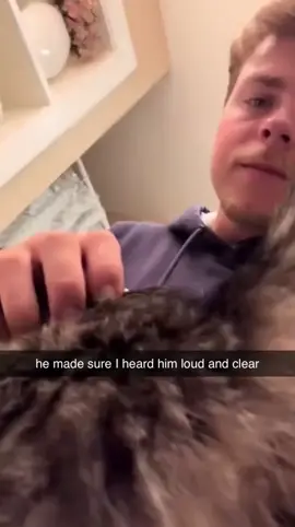 #funny #cats #catsoftiktok #relatable 