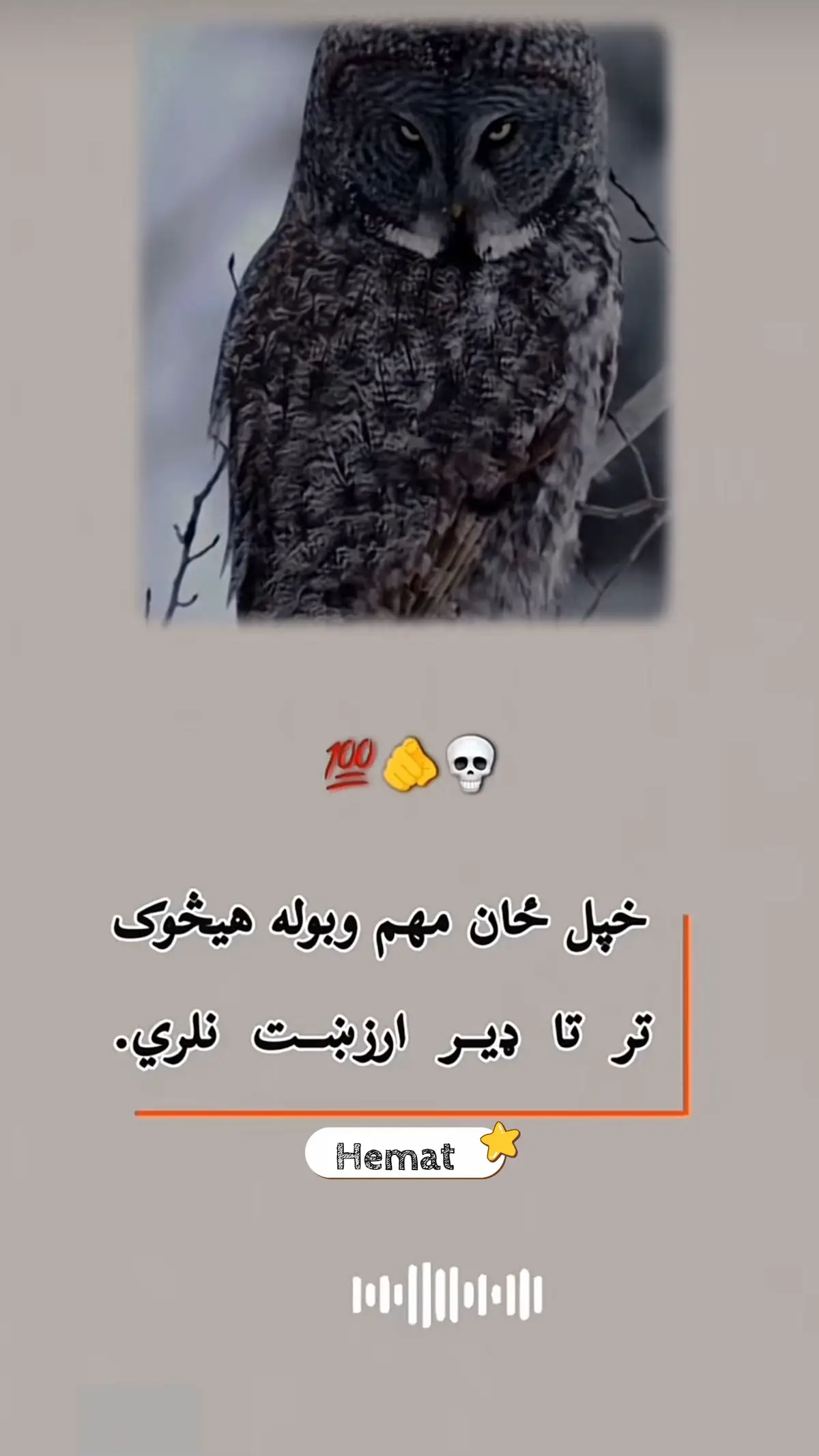 #پشتون_تاجیک_هزاره_ازبک_زنده_باد🇦🇫 @💔TaRiQ HeMaT🥹 