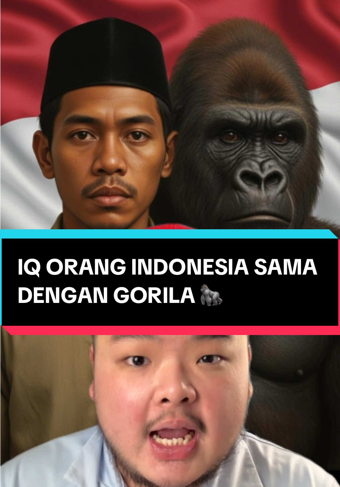 IQ Orang Indonesia Sama Dengan Gorila #iq #orangindonesia #gorila #rendah 