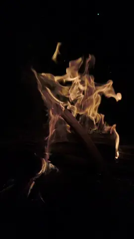 #شاب_حسني #الراي_الخاتر #chebhasni #tanger #fyp 