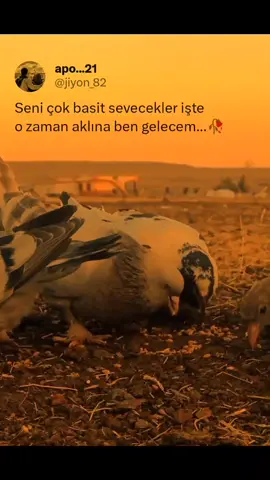 #geceyebirsözbırak✍️✍️💔🥀 #strlikvidolar #sözbırakın📌 #stirilikvideolar📌 #fyp 