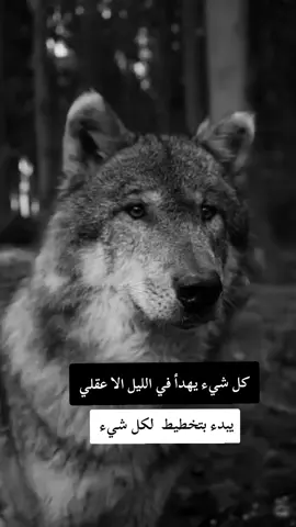 #fyp #F #f #شعب_الصيني_ماله_حل😂😂 #ابوني_ياك_باطل_ولا_حنا_مانستاهلوش 