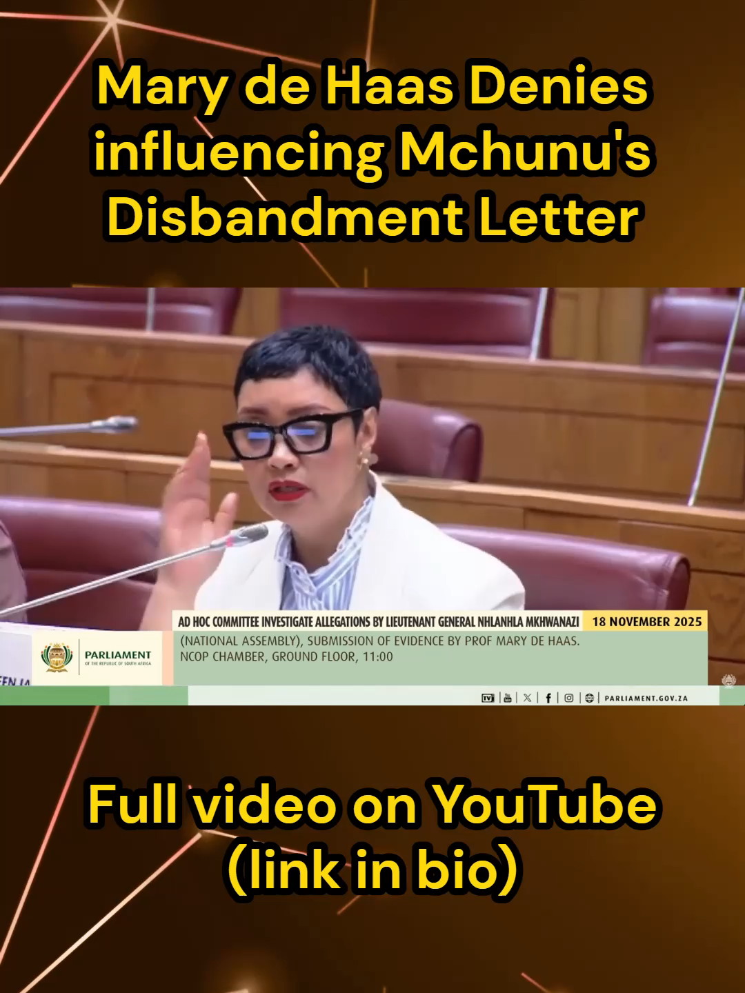 MPs Grill Mary de Haas on Influencing Minister Mchunu's Disbandment Letter & Her Ties to the Cartel #fyp #mkhwanazi #nhlanhlamkhwanazi #madlanga #adhoc #reels #explore #viral