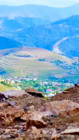 #gədəbəy #miskinli #gedebey 