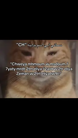 #الشعب_الصيني_ماله_حل😂😂 #foryoupage #tiktokindia #explore #foryou 