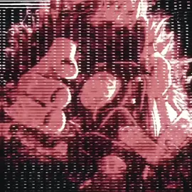 ˙✧˖°🧨 ༘ ⋆｡:: eu estou completamente apaixonada !! | #ordemparanormal #hexatombe #psikolera #franco #fy 