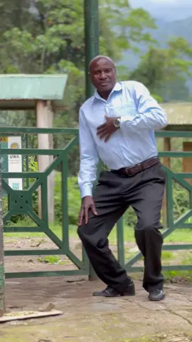 #kasesegiant4 #kasesegiant 