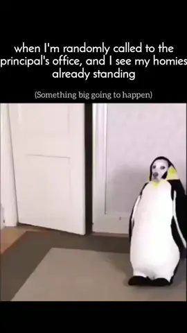 I'm in dire trouble this time ig!        #fyp #animals #foryou #foryoupage #viral #funny #relatablecontent #dog #tiktok